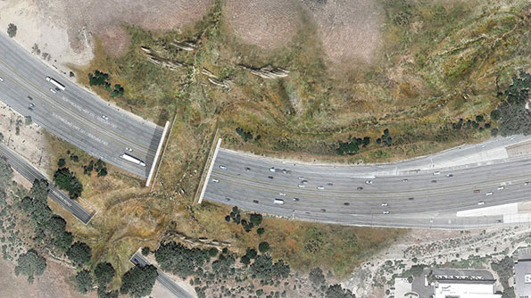 Rendering of wildlife crossing at Liberty Canyon